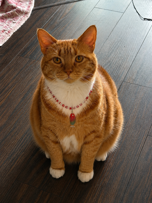 Strawberry Fields Cat & Cat Mom Necklace